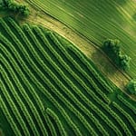 Klimaatbestendige voedselketens Groen Landbouw
