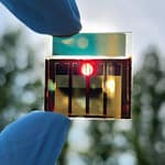 The Leaf That Could Power a Nation Photo3.-semi-transparent-perovskite-sc-exposed-in-the-sunlight
