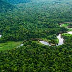 Groen goud Brazil Amazon River