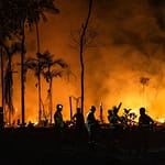 Brazilië's grote gok: kan het Amazonegebied onder de 0,5% blijven? Amazon Fires