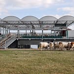 No Land? No Problem: Inside the Dutch Floating Farm Revolutionizing Modern Agriculture Floating Farm