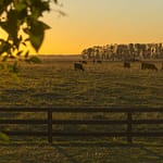 Why the Dutch Are Looking at Uruguay Waarom Nederlanders naar Uruguay kijken: landbouwgrond, vrijheid en het nieuwe koolstoffront