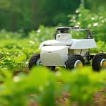 Hoe AI de toekomst van de landbouw in Europa vormgeeft AI in Farming