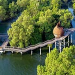 Discovering Nature's Hidden Gems in Singapore: A Harmonious Metropolis sungei buloh