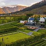 Rainbow Nation, Golden Opportunity Franschhoek
