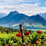 Op jacht naar winterlicht door Zuid-Afrikas Kaap Western Cape